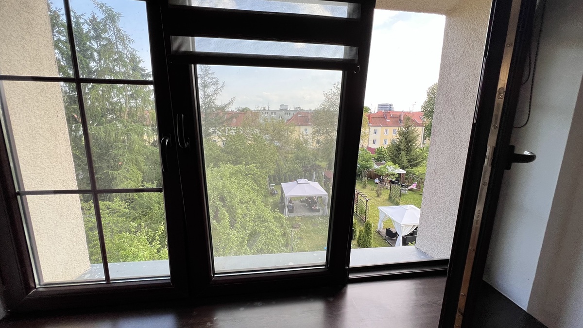 Widok z okna na zieleń