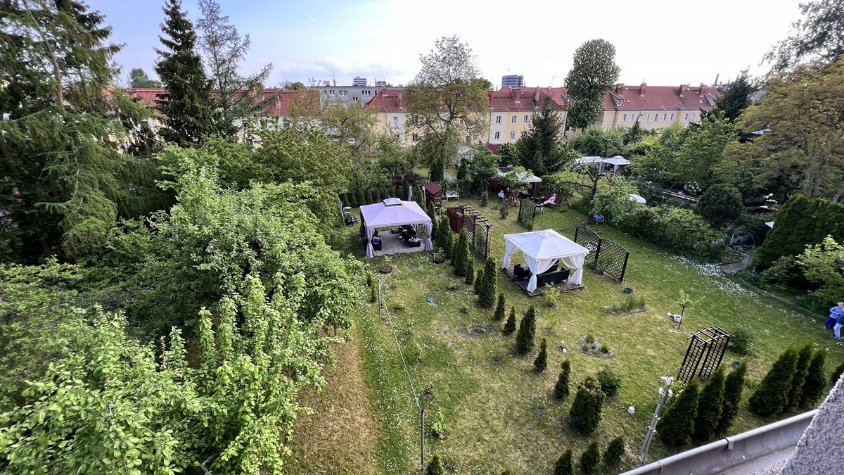Widok z okna na zieleń